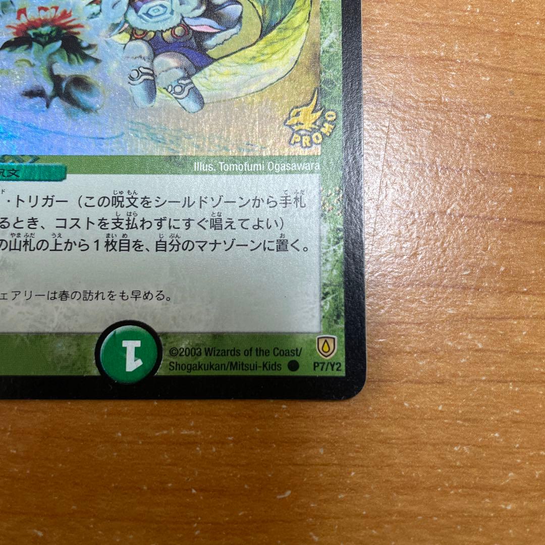 フェアリーライフ　初期プロモ　美品