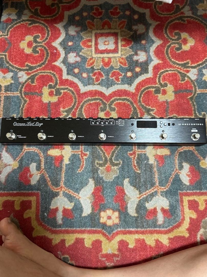 ギター One Control CAIMANTAILLOOP