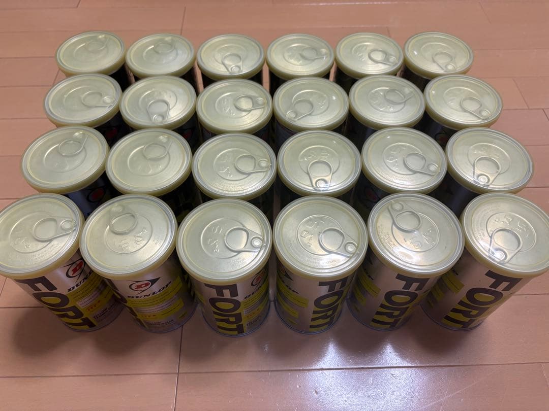 ダンロップ 硬式テニスボール フォート(1缶2球入)×24缶【新品】