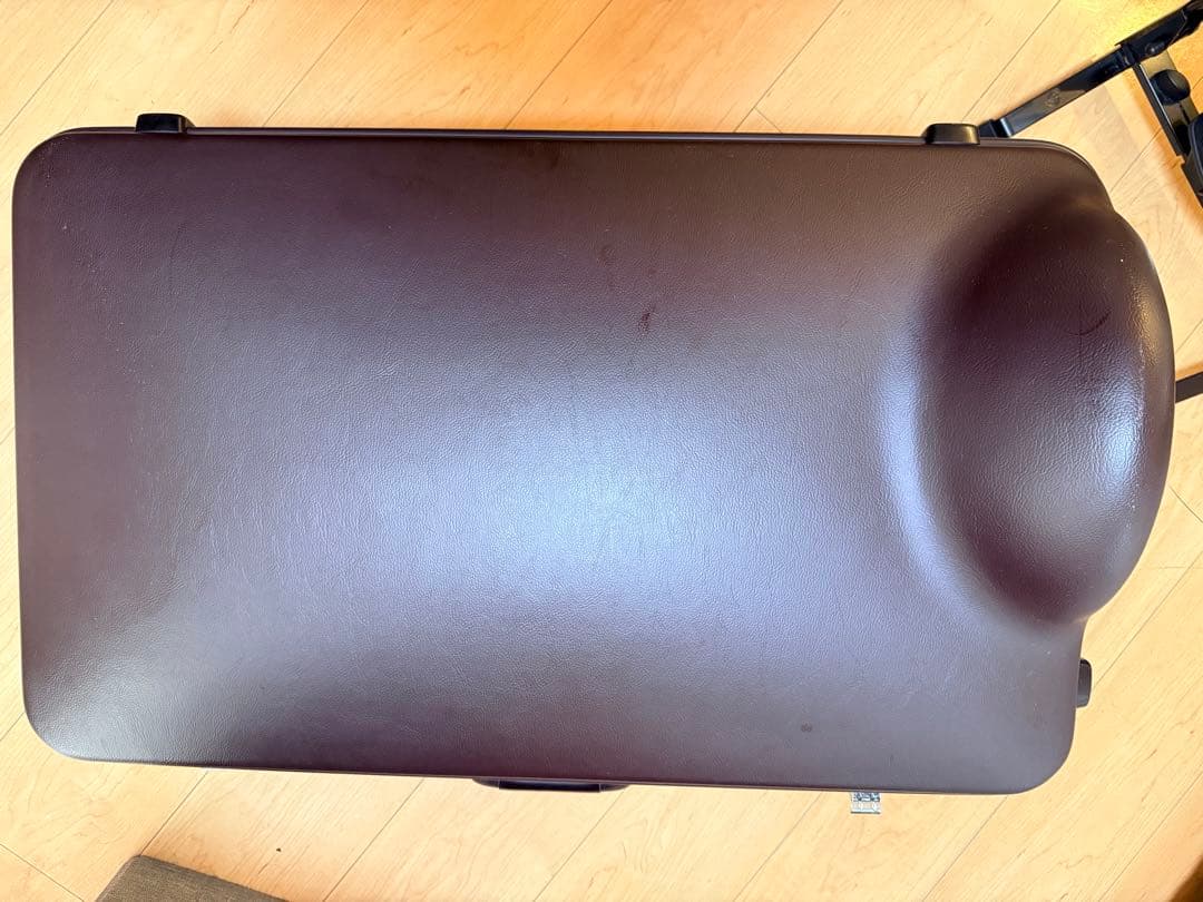 YAMAHAユーフォニアム 621s プロテックケースと純正ケース付き