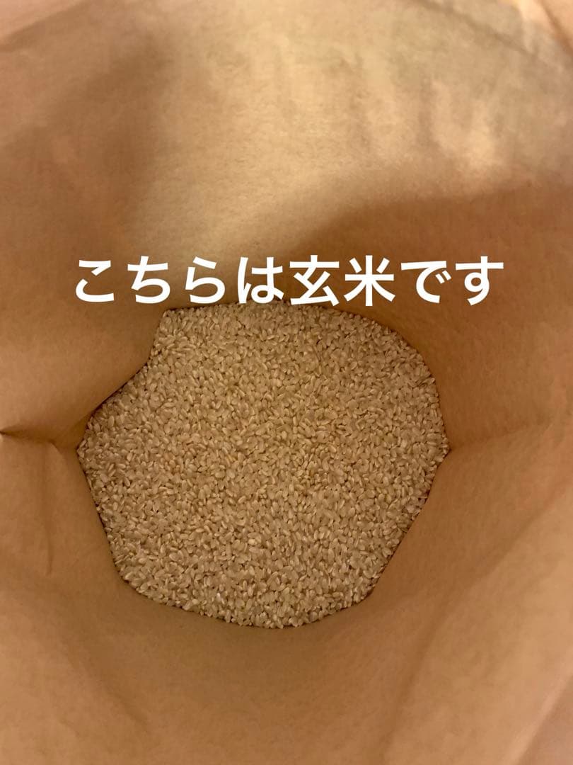 令和7年度産　新米　ヒノヒカリ玄米10kg(送料込)減農薬のお米