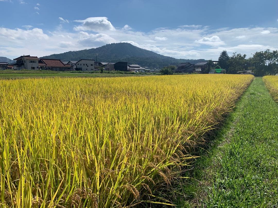 令和7年度産　新米　ヒノヒカリ玄米10kg(送料込)減農薬のお米