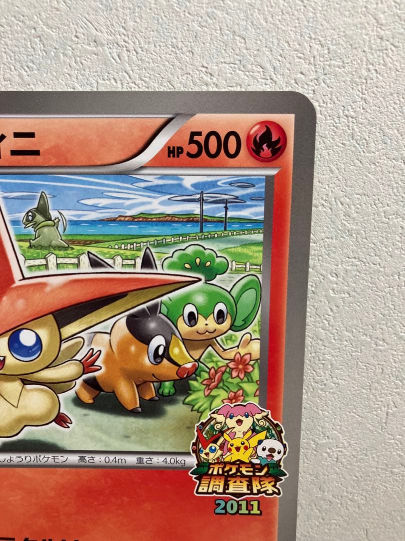 希少　ジャンボカード　ビクティニ　jr北海道　ポケモン調査隊2011　プロモ