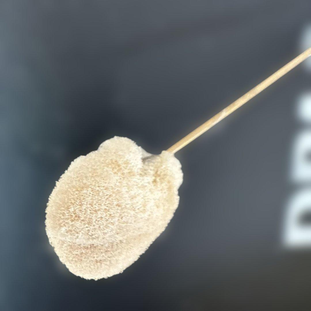 DPA 4488-DC-R-F00　ヘッドセットマイク　ベージュ