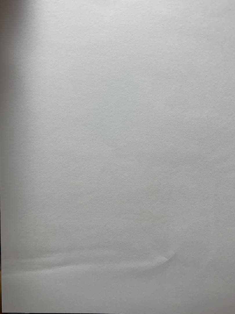 鬼滅の刃 伊黒小芭内 誕生祭 バースデー ランチョンマット 6枚セット