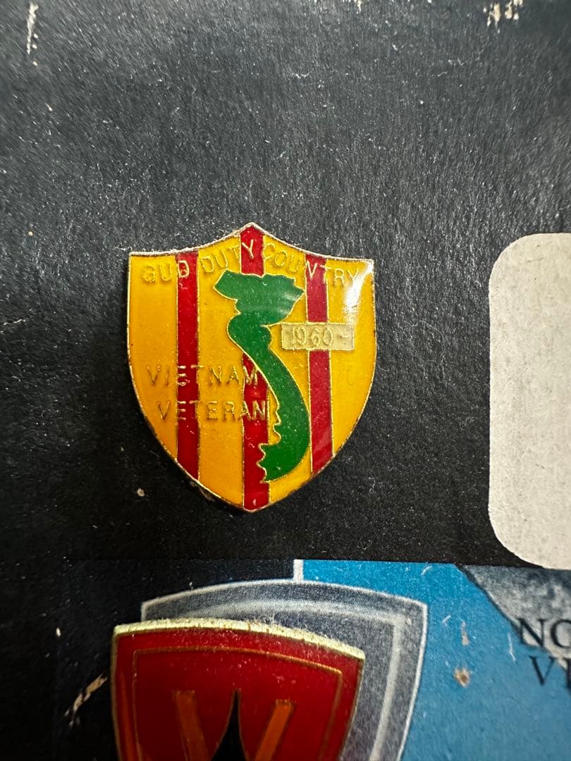 米軍　ベトナム派遣部隊　ピンバッジ