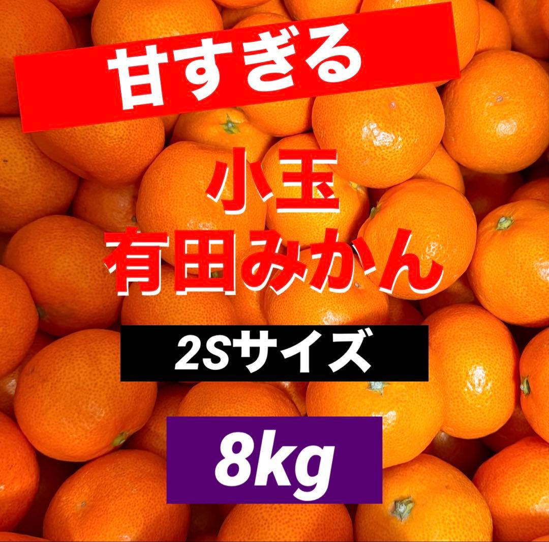372)数量限定　甘すぎる　有田みかん　果物 　みかん　小玉　旬
