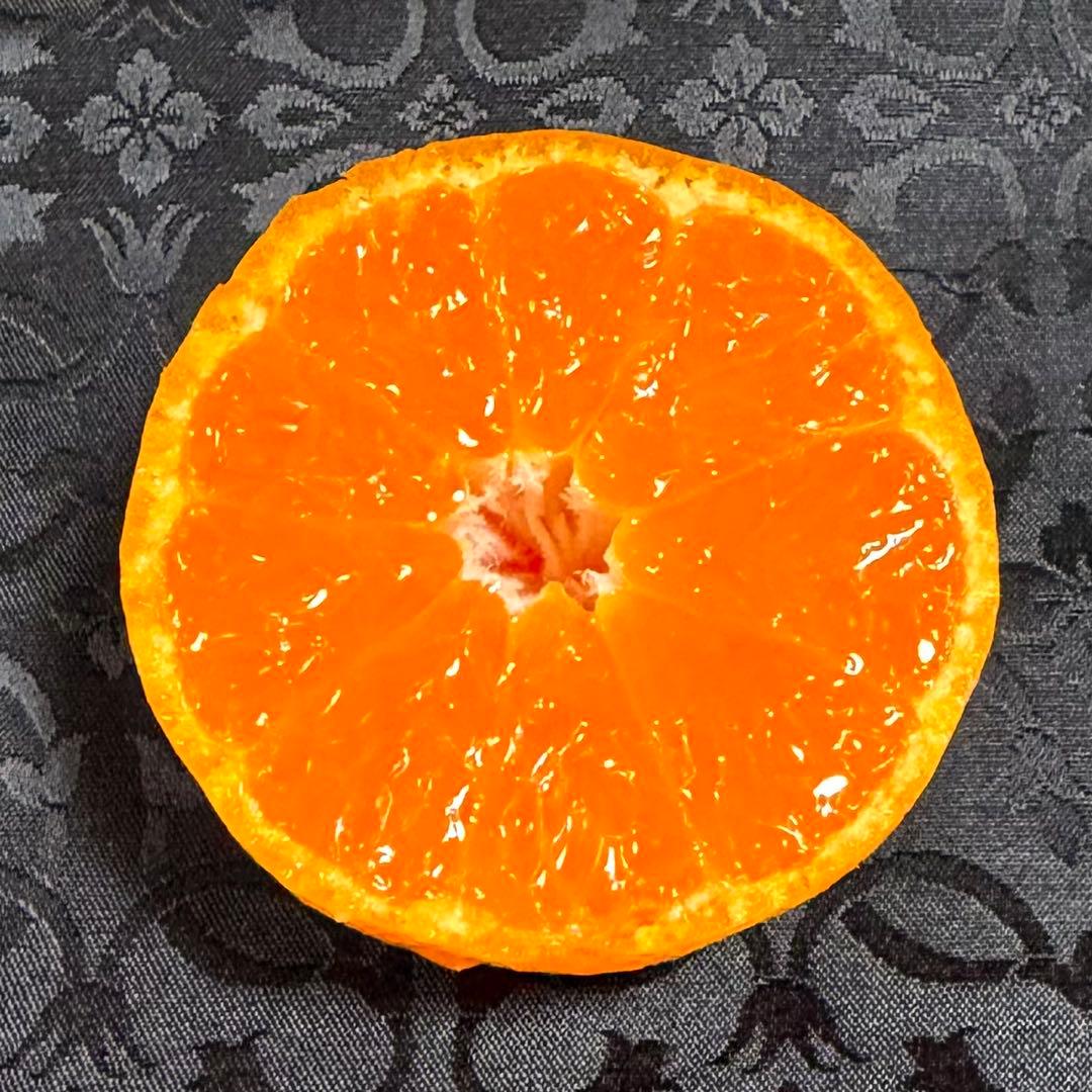 372)数量限定　甘すぎる　有田みかん　果物 　みかん　小玉　旬