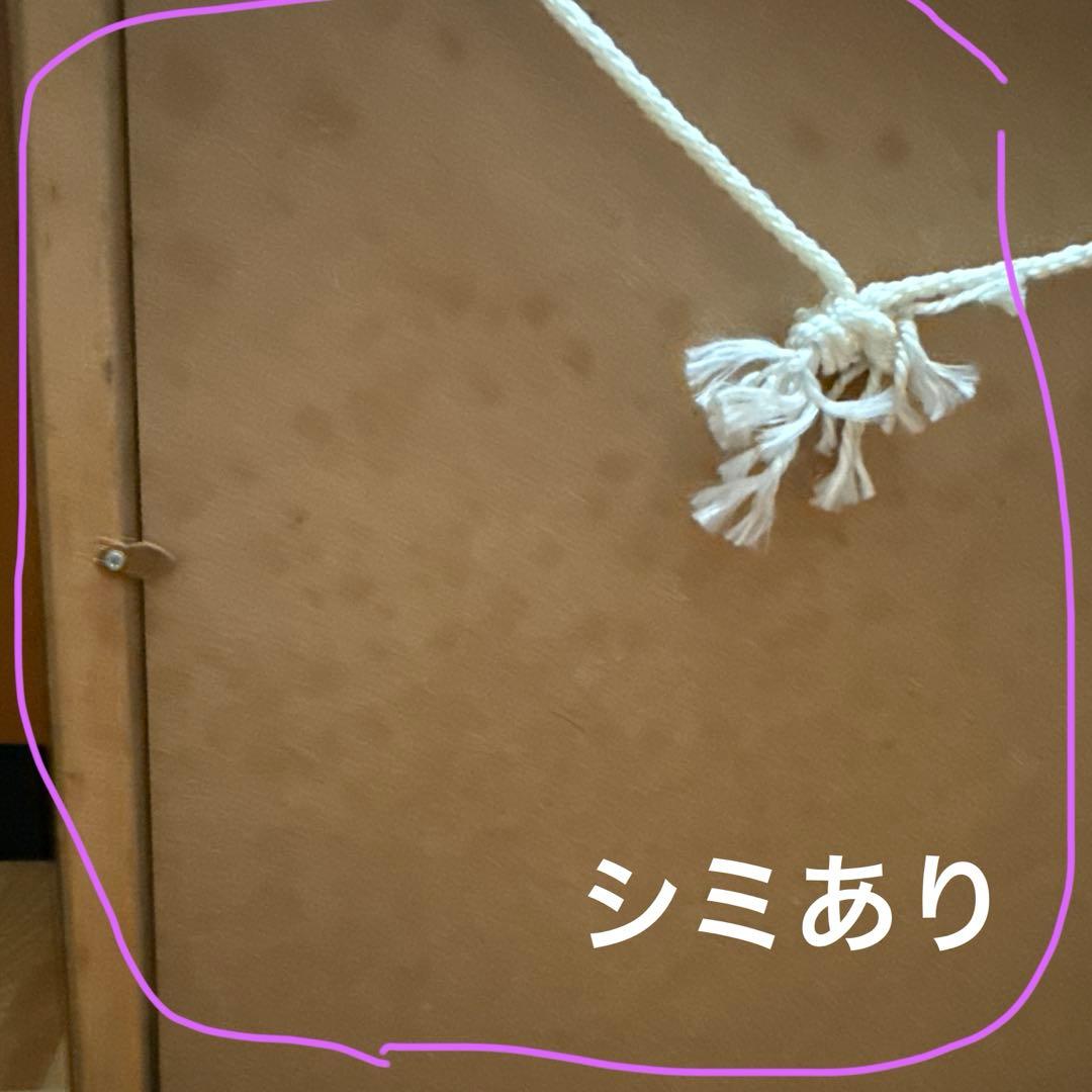 アイルトン・セナ 3000枚限定　リトグラフ 肖像画