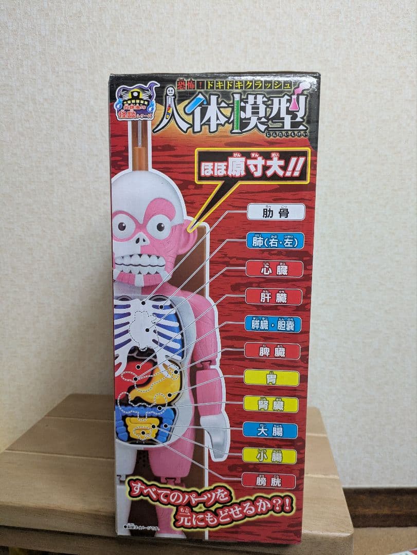 メガハウス 放課後の怪談シリーズ 恐怖！ドキドキクラッシュ人体模型BONE－VE