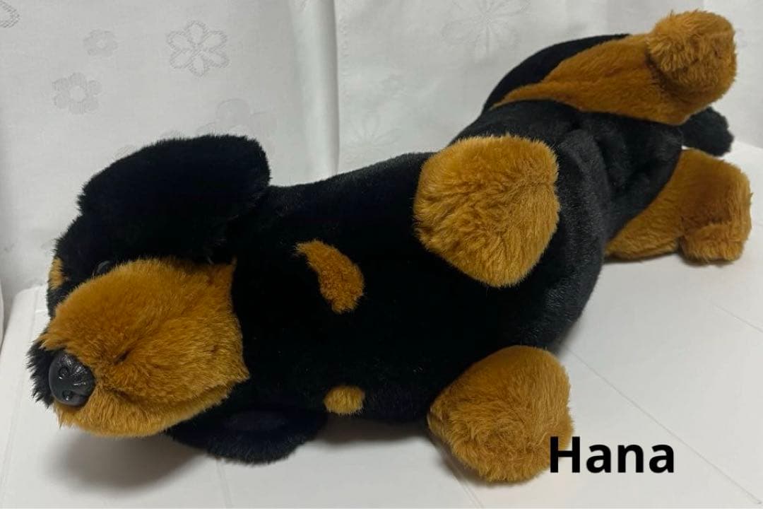 激レア⁉︎ Animal Alley ダックスフンド ぬいぐるみ 黒 インテリア