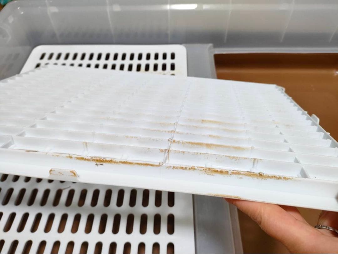 ミニマルランド ケージ ブラウン 90L