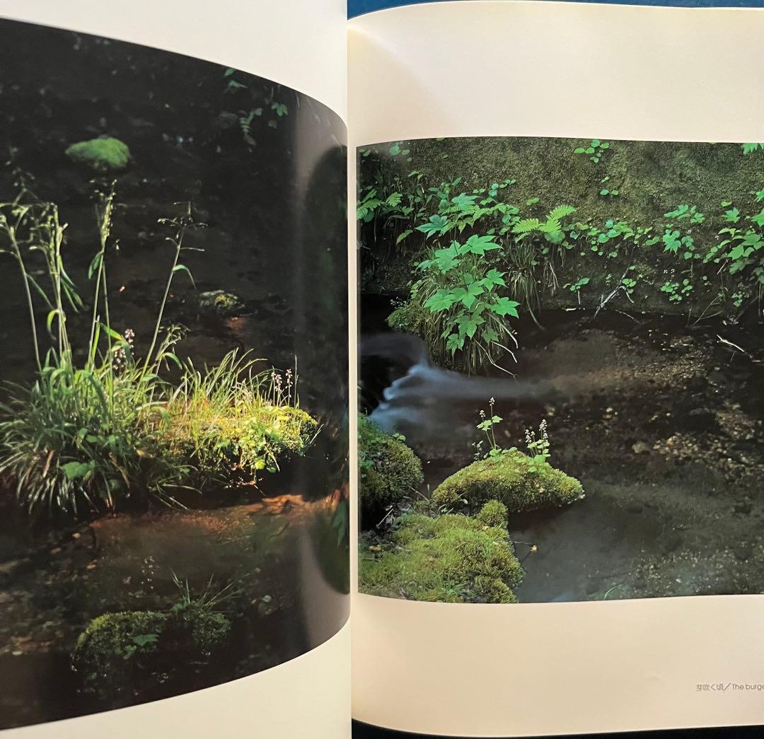 天野尚 THE NATURE AQUARIUM