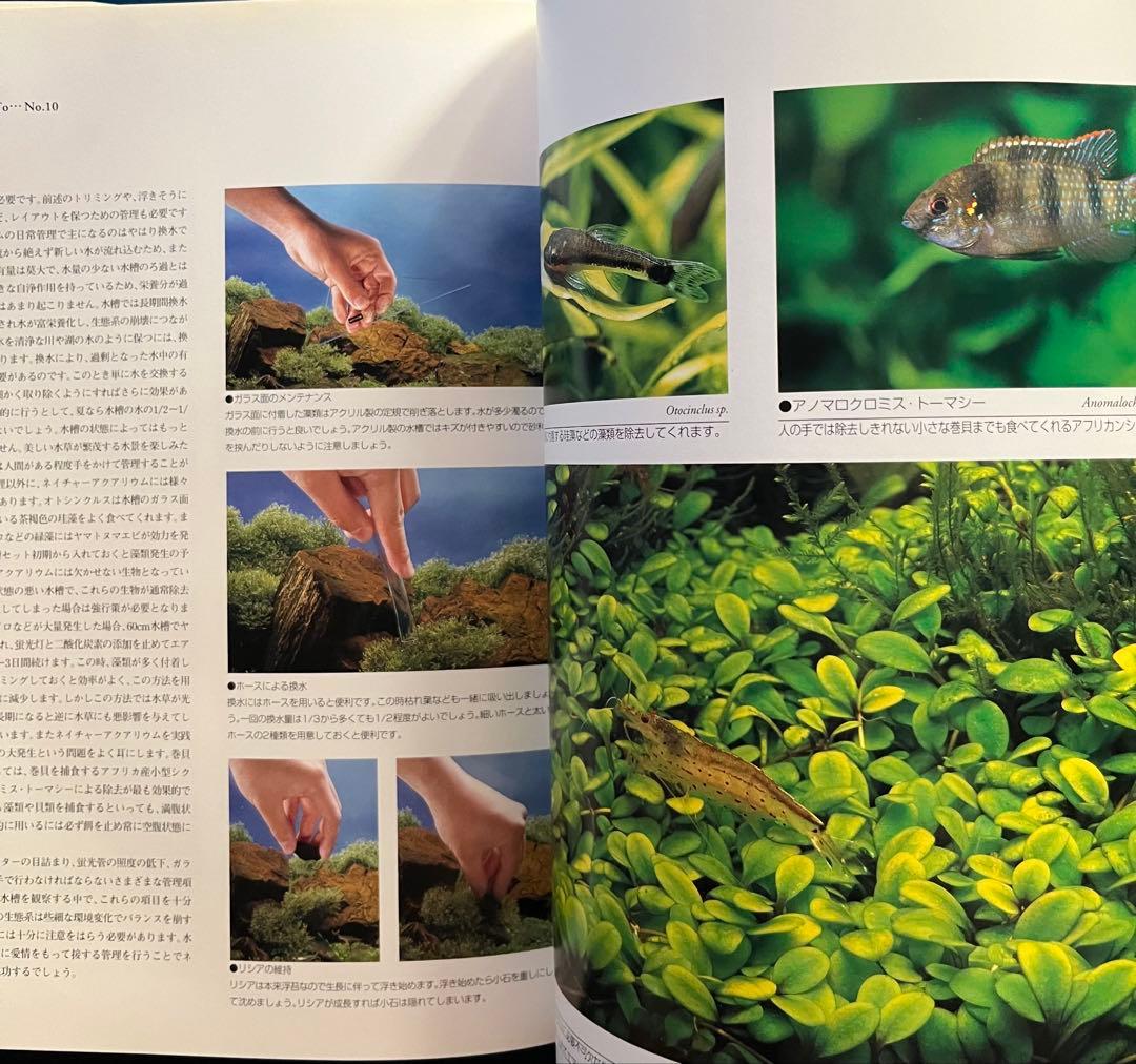 天野尚 THE NATURE AQUARIUM