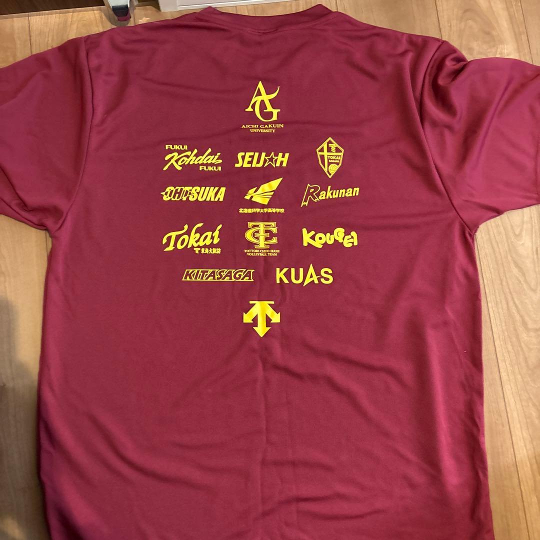 DESCENTE STAGS CUP 2024 シャツ XA