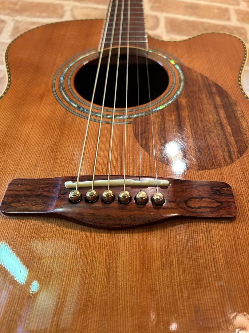 GREG BENNETT design SAMICHエレアコ(OM-15CE)