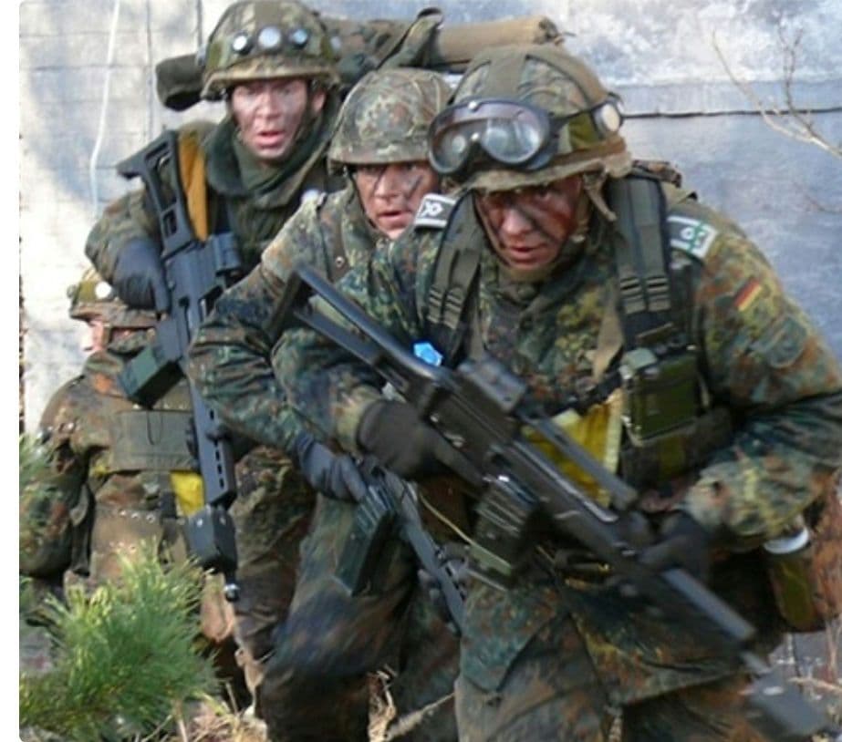 1 MIL-TEC社製 タクティカルベスト アサルト フレクターンカモ 迷彩