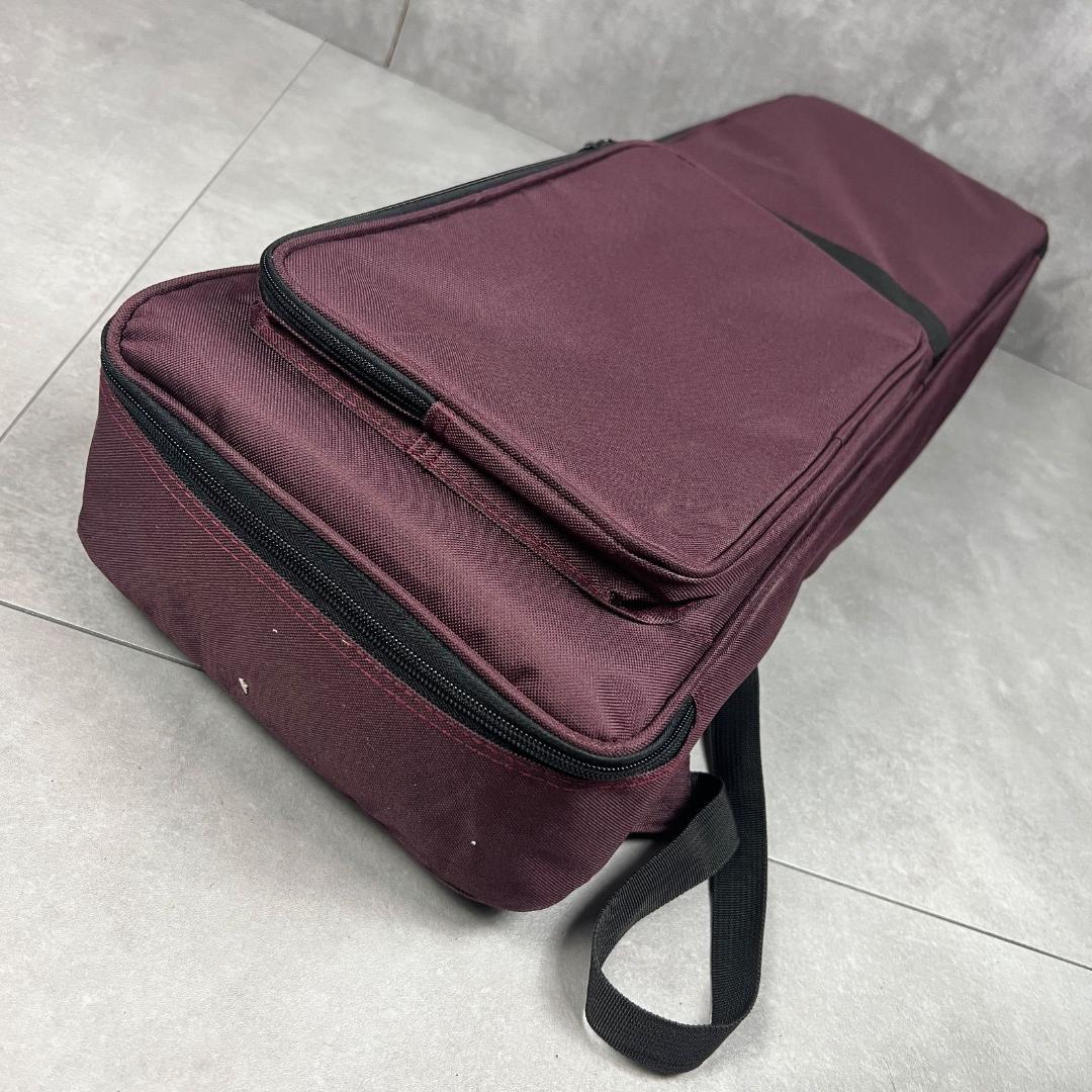 本蛇皮　沖縄三線　強化張り　全長約80cm　セミハードケース　へび　パイソン