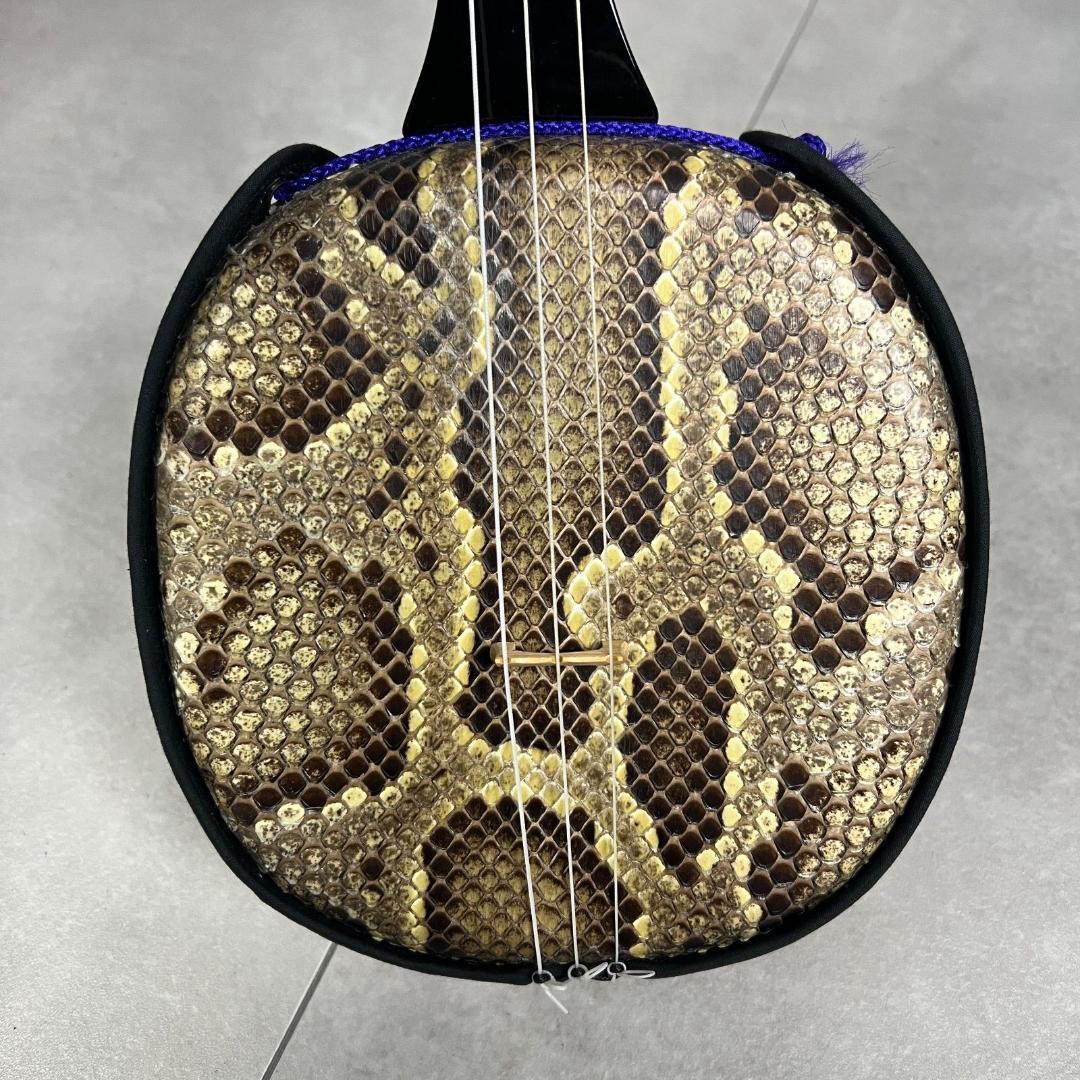 本蛇皮　沖縄三線　強化張り　全長約80cm　セミハードケース　へび　パイソン