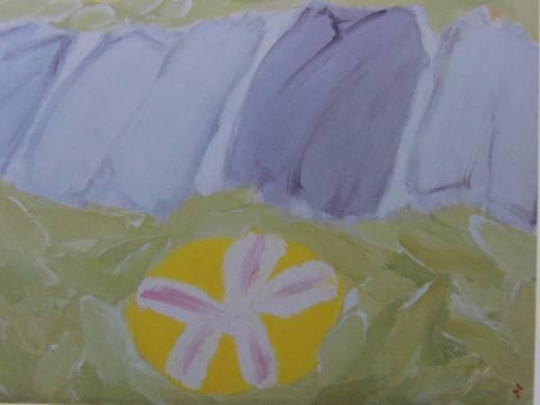 田淵安一、ヒルデガルドの庭園、希少画集画、状態良好、新品高級額装付