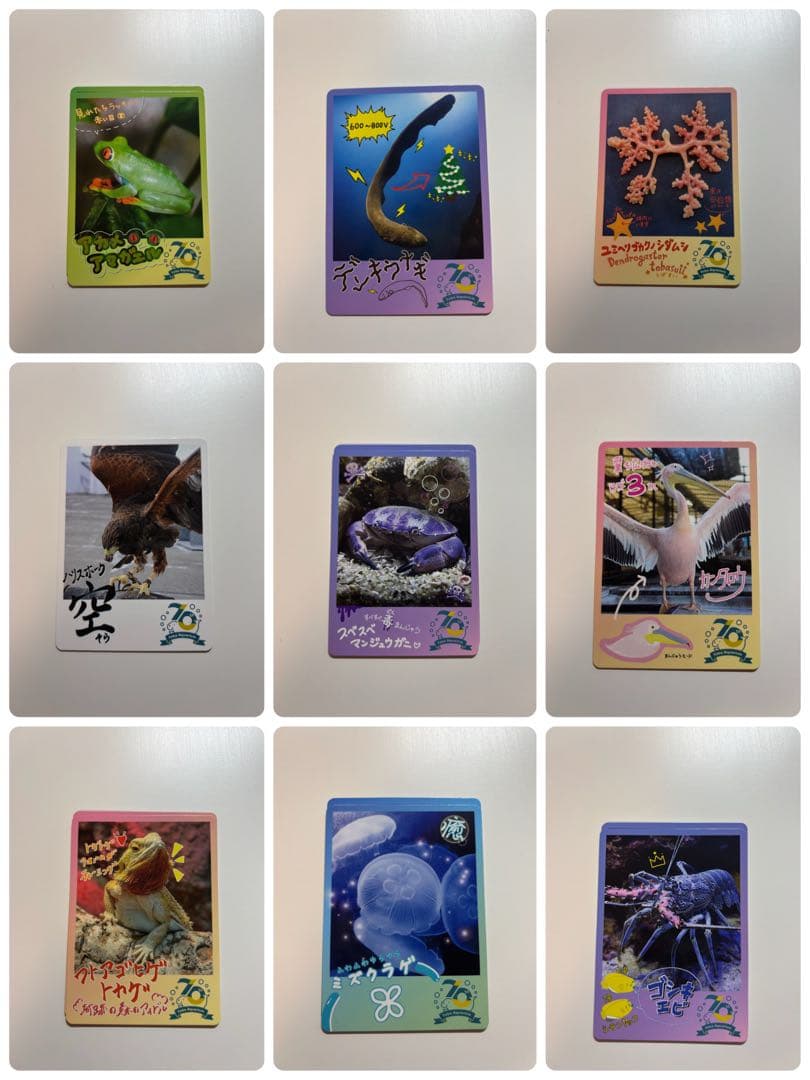 鳥羽水族館トレカ セット売り 一覧