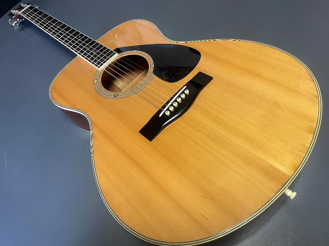 ギター YAMAHA FG-202D