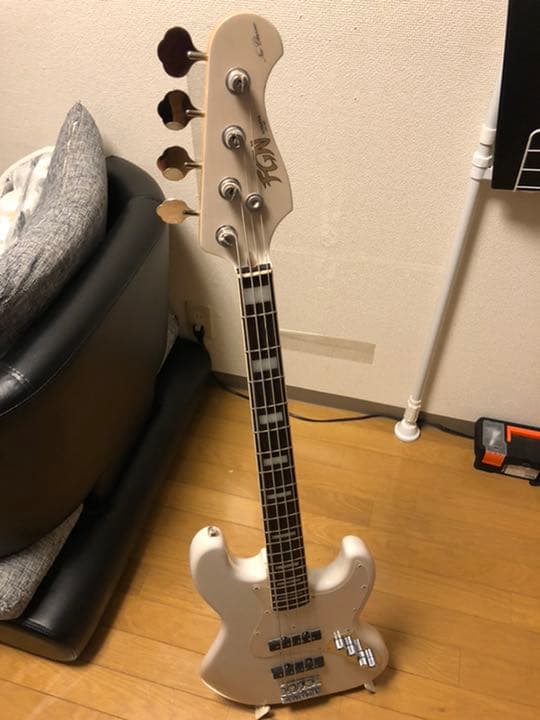 ギター fujigen neo classic Series