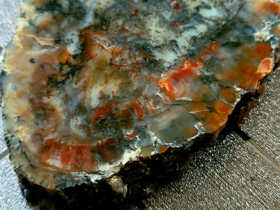 化石『恐竜の糞化石』コプロライト 希少 標本 稀石 生痕 草食恐竜 瑪瑙化 天然