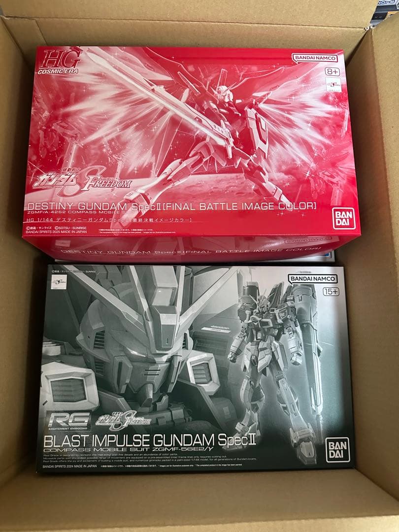 4点セット MG ハイネ専用 デスティニー 最終決戦 RGブラスト マンダラ