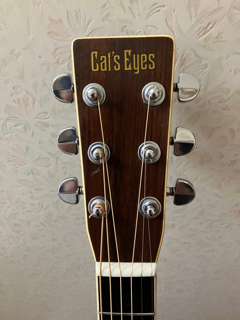 Cat's Eyes キャッツアイ CE-350ST アコギ 日本製 整備済