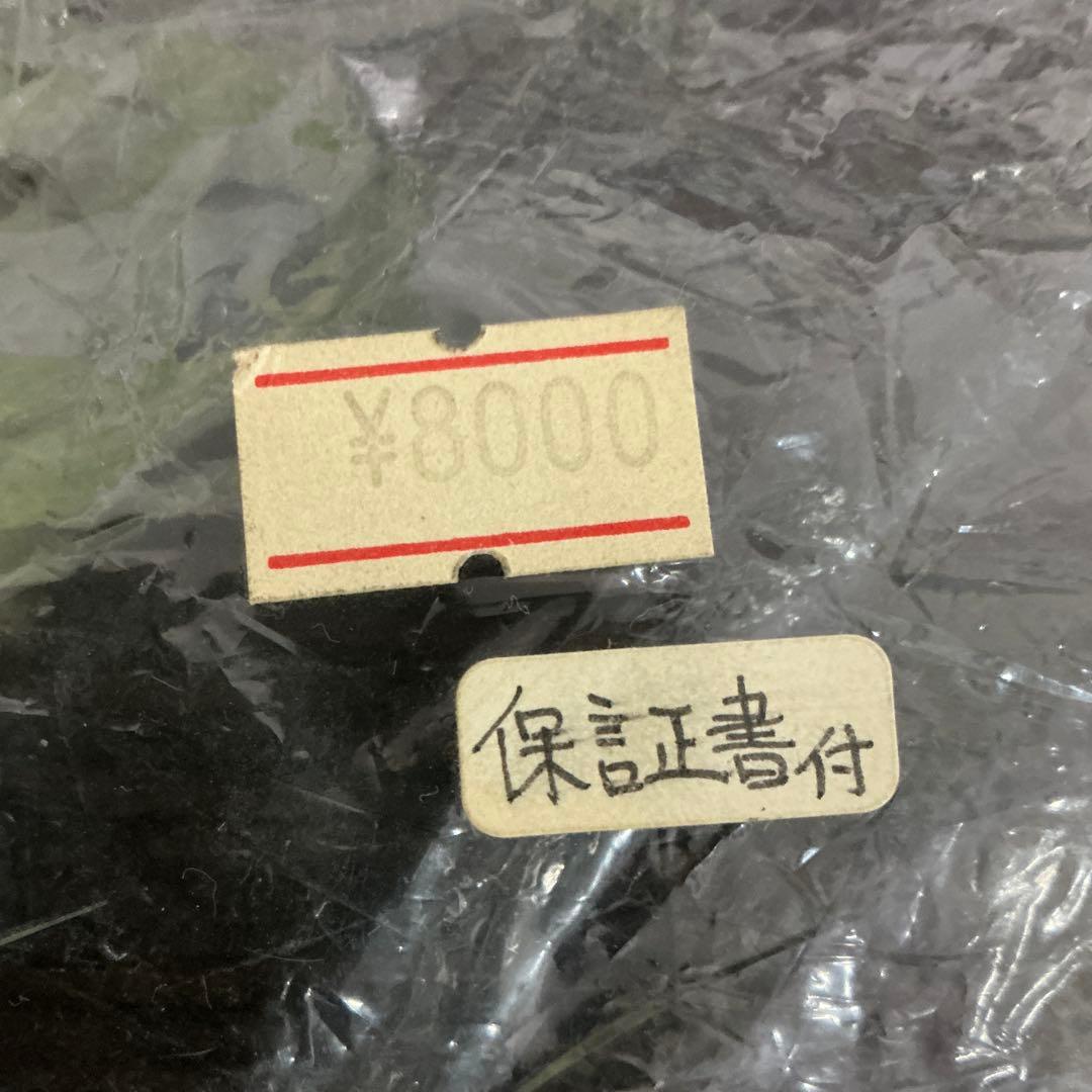 ホシノルリ　腕時計　機動戦艦ナデシコ