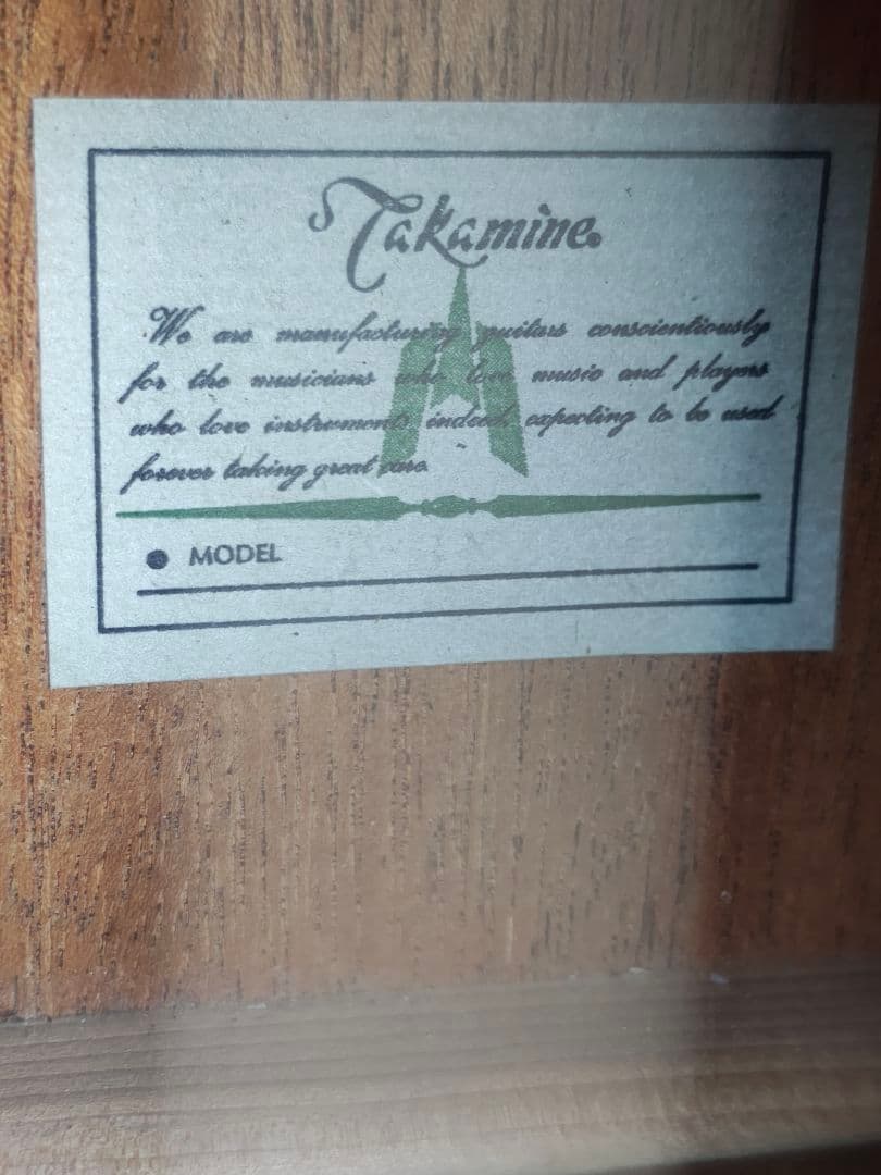 美品 Takamine 200シリーズ(？)NA 型番不明 PU付きエレアコ