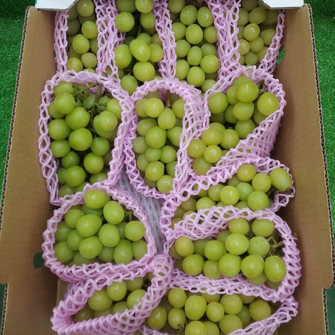 3️⃣ 山梨県産 シャインマスカット １１房 箱込み5.3キロ