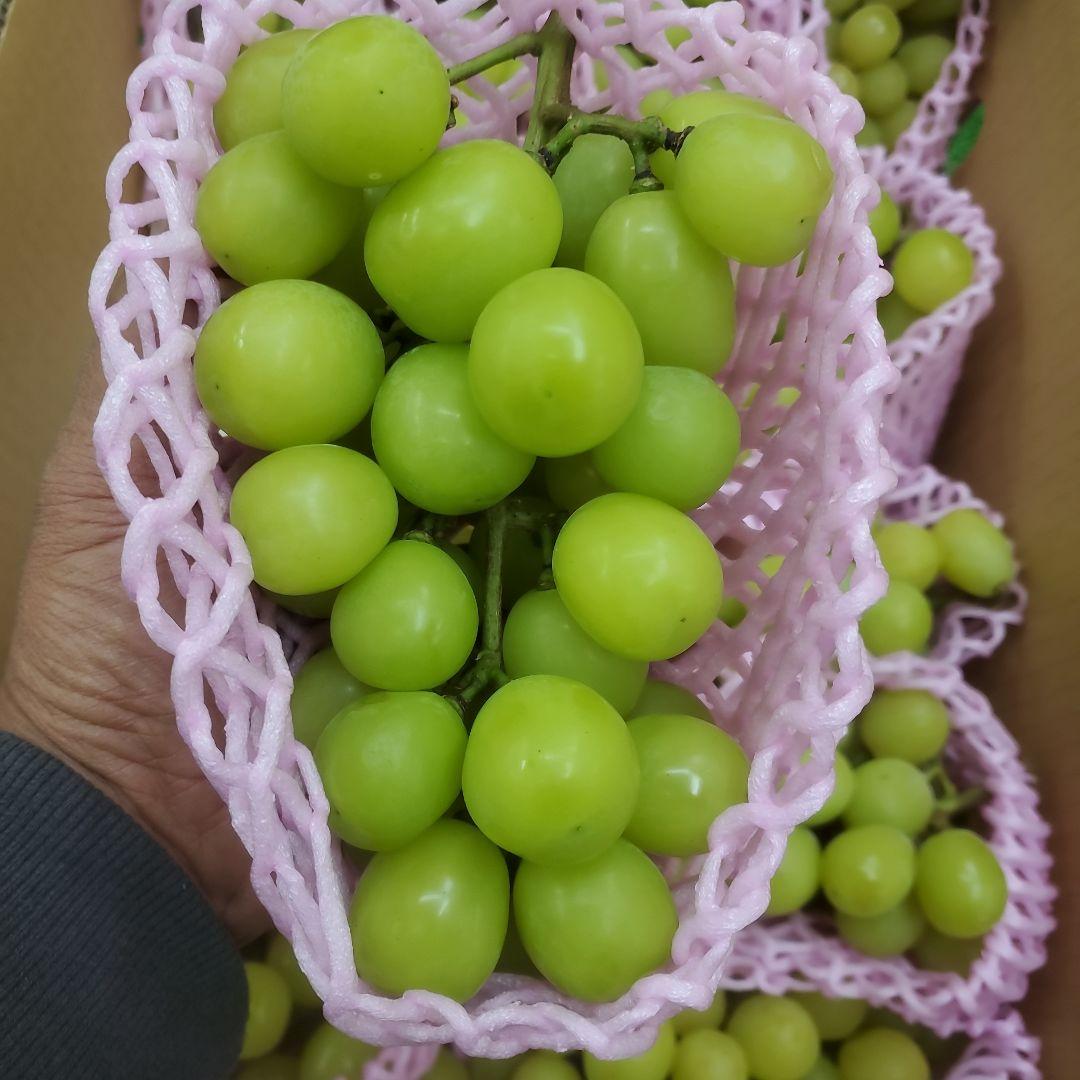 3️⃣ 山梨県産 シャインマスカット １１房 箱込み5.3キロ