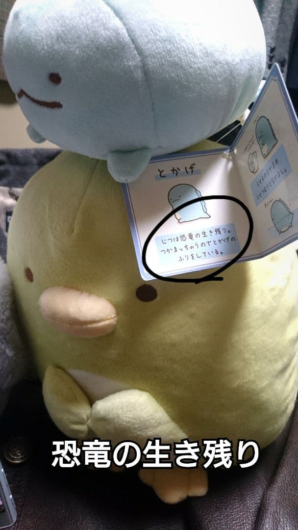 実は 恐竜の生き残り (貴重なアーカイブ) です。。。と か げ