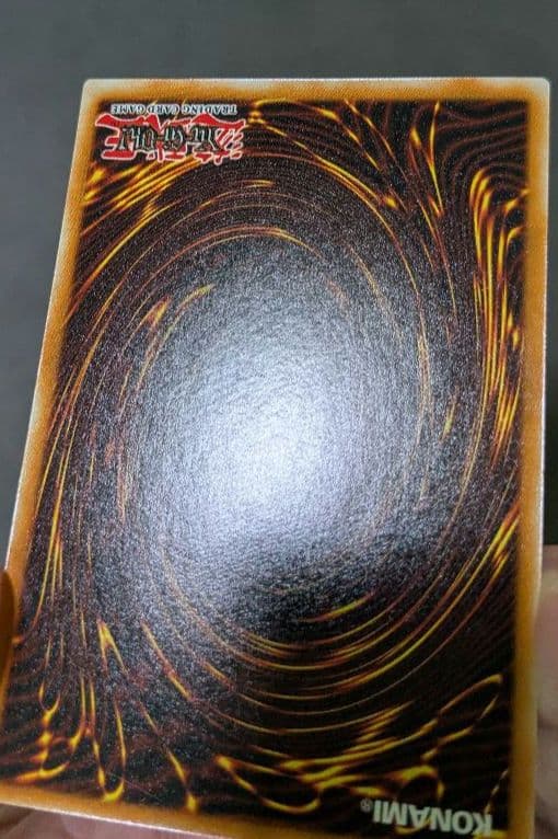 英語版、遊戯王、FMR、レッドアイズブラックメタルドラゴン、シク