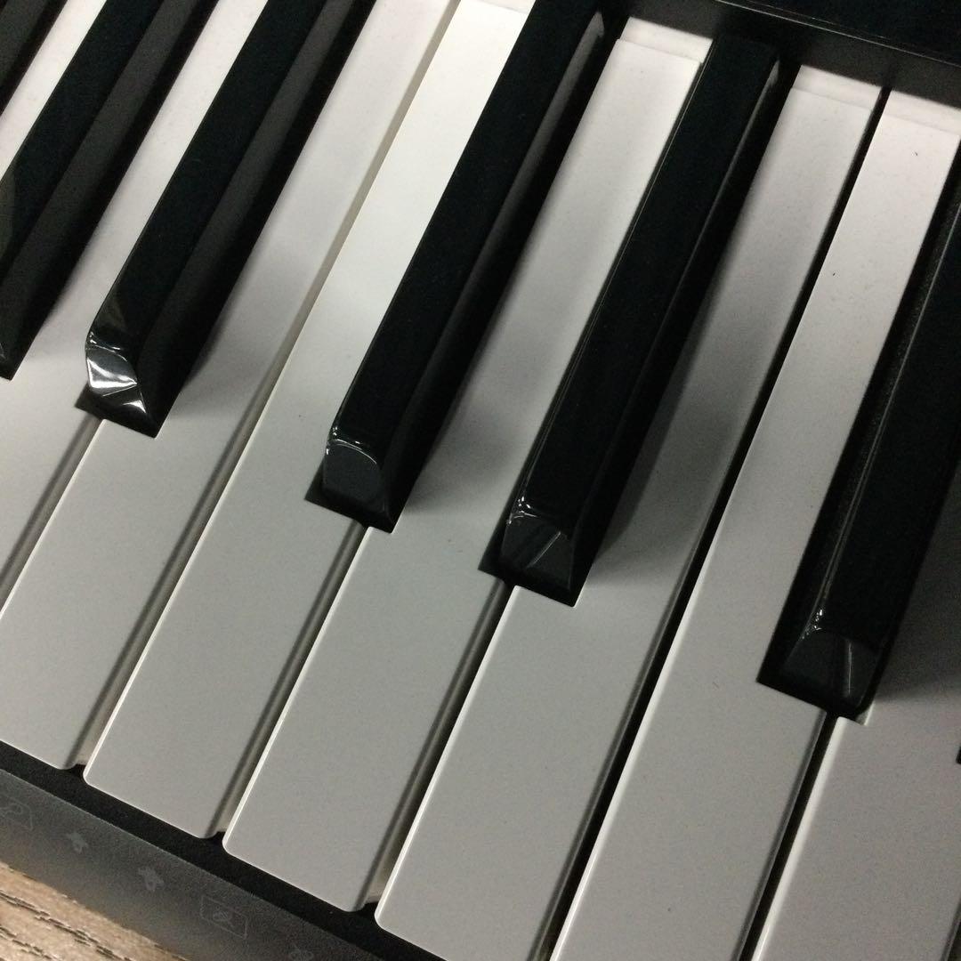 CASIO カシオ 電子キーボード WK-245 カバー付76鍵