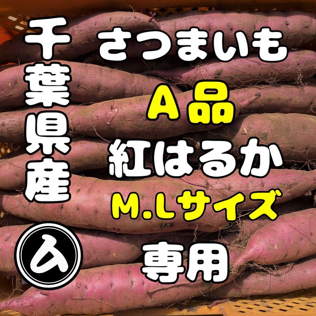 いっぽ　千葉県産　さつまいも　紅はるか　20キロ　優品　M.L