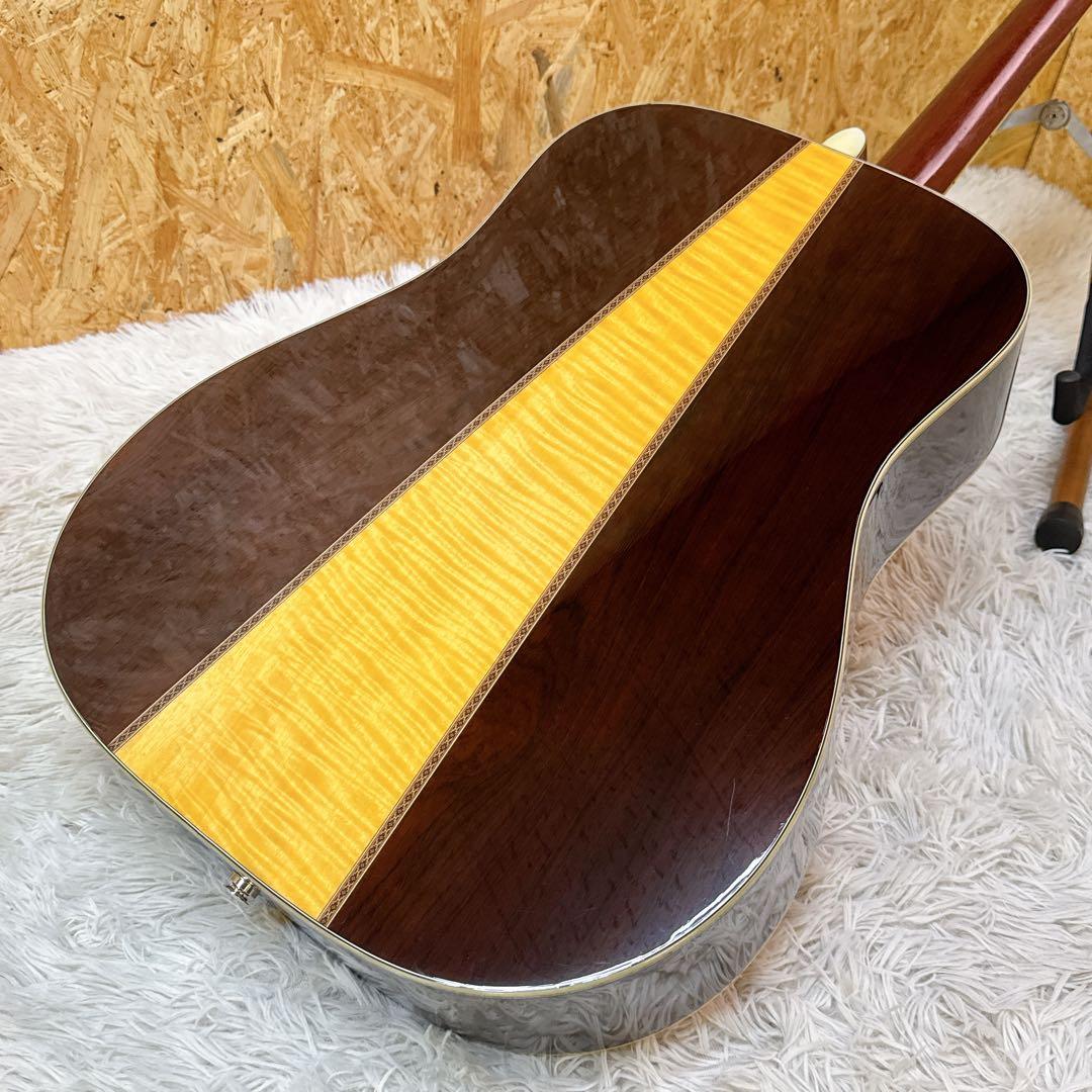 Morris TF W-50 ハカランダ 3Pバック アコースティックギター