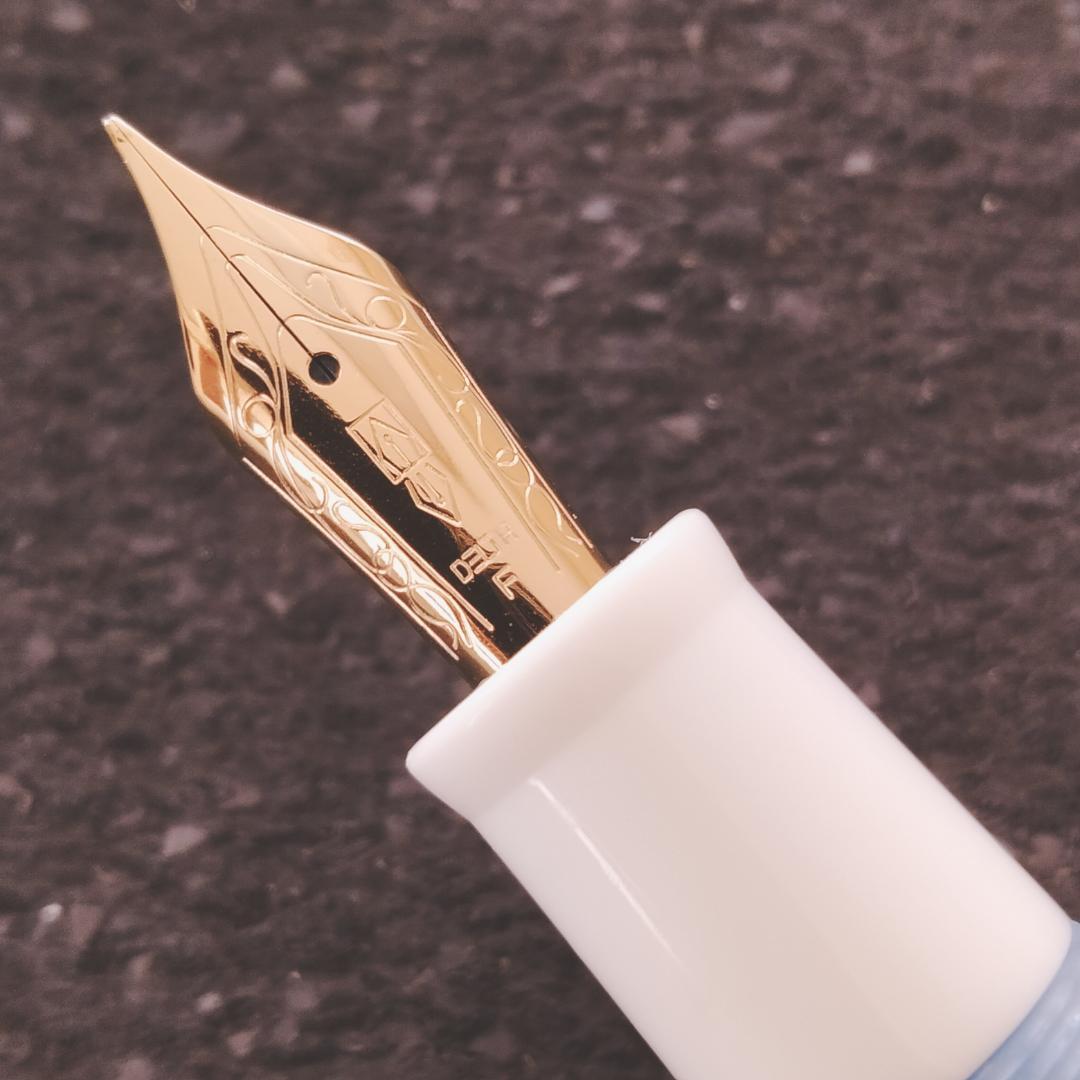 【限定希少美品】DELTA DOLCE VITA Federico 万年筆 F