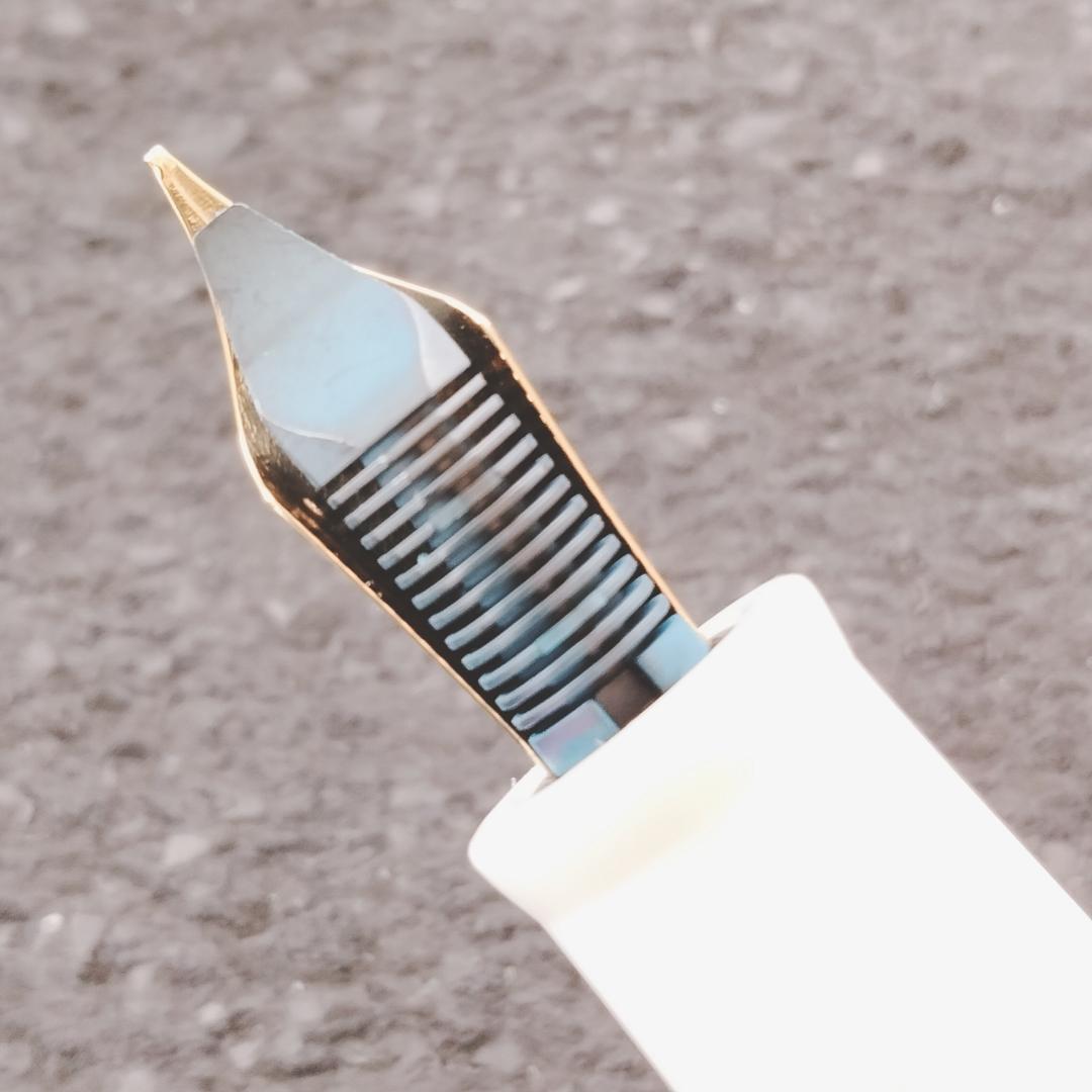 【限定希少美品】DELTA DOLCE VITA Federico 万年筆 F