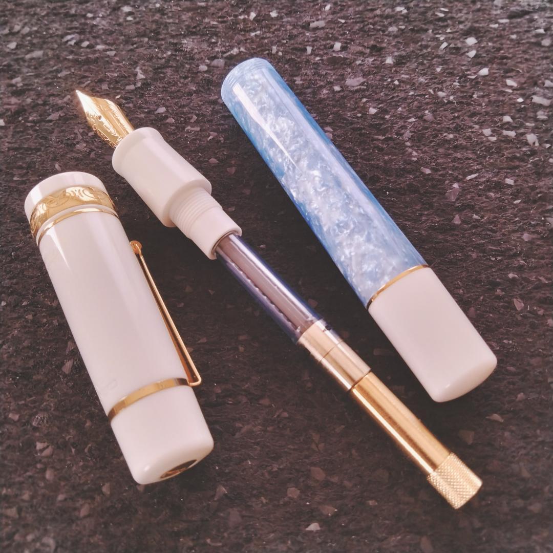 【限定希少美品】DELTA DOLCE VITA Federico 万年筆 F