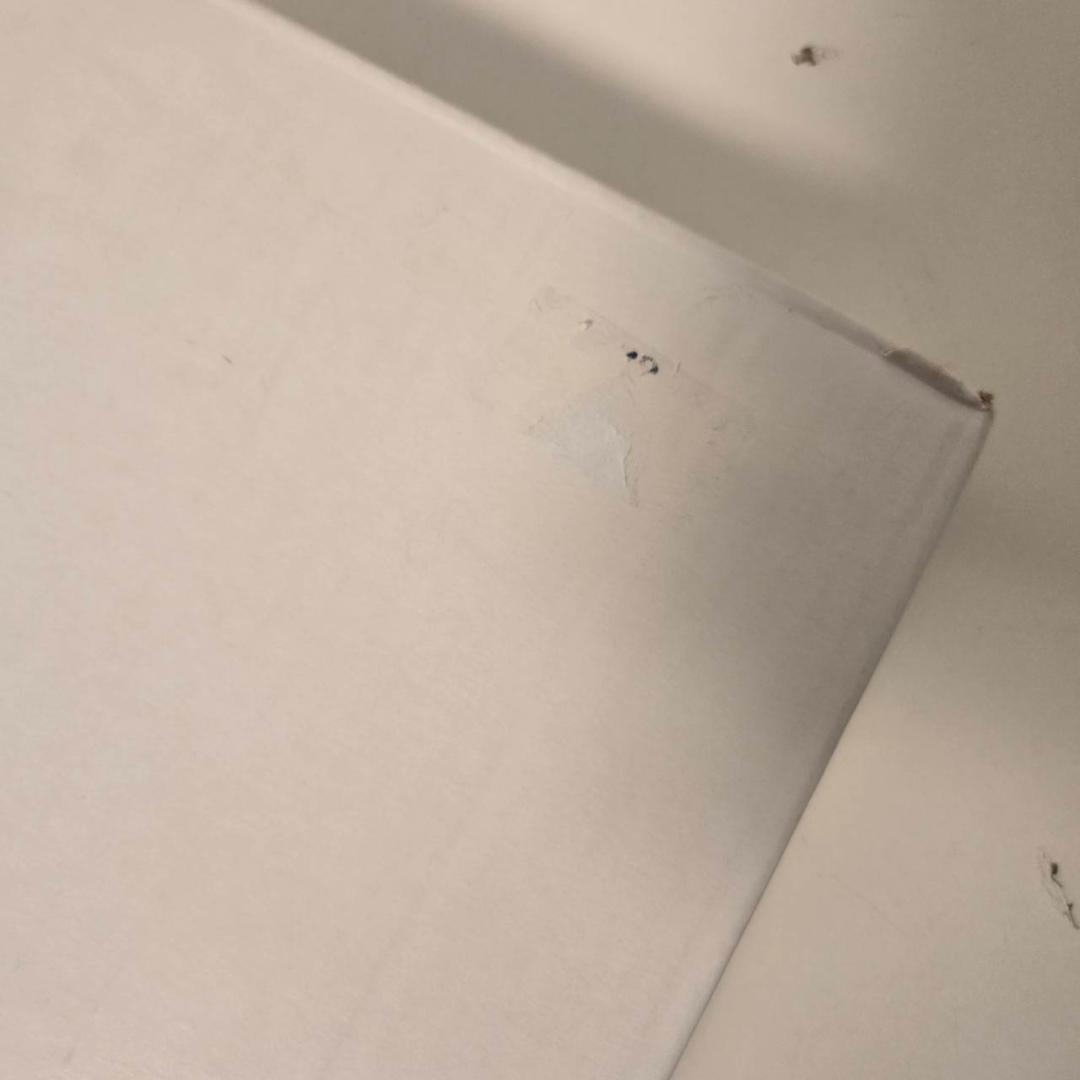 最終値下げ　藤城清治　馬が飛ぶ　ダイヤモンドクスリーン　直筆サイン　保証