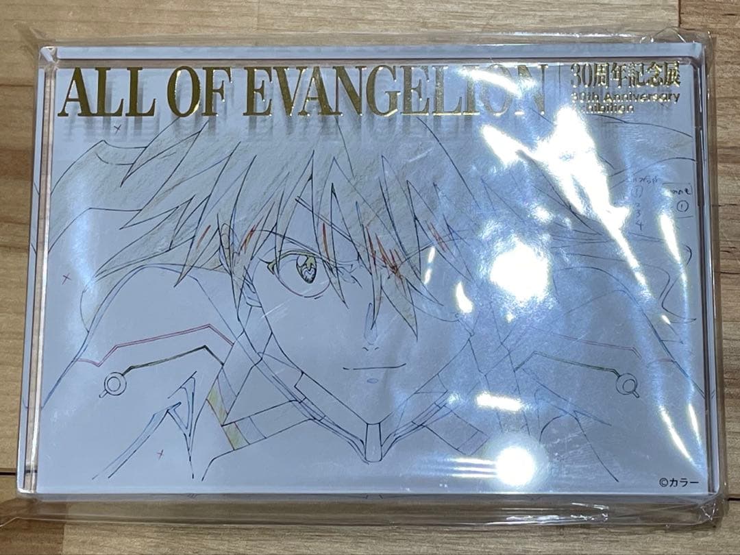 オールオブエヴァンゲリオン　箔押しアクリルブロック　アスカ&マリ　＋おまけセット