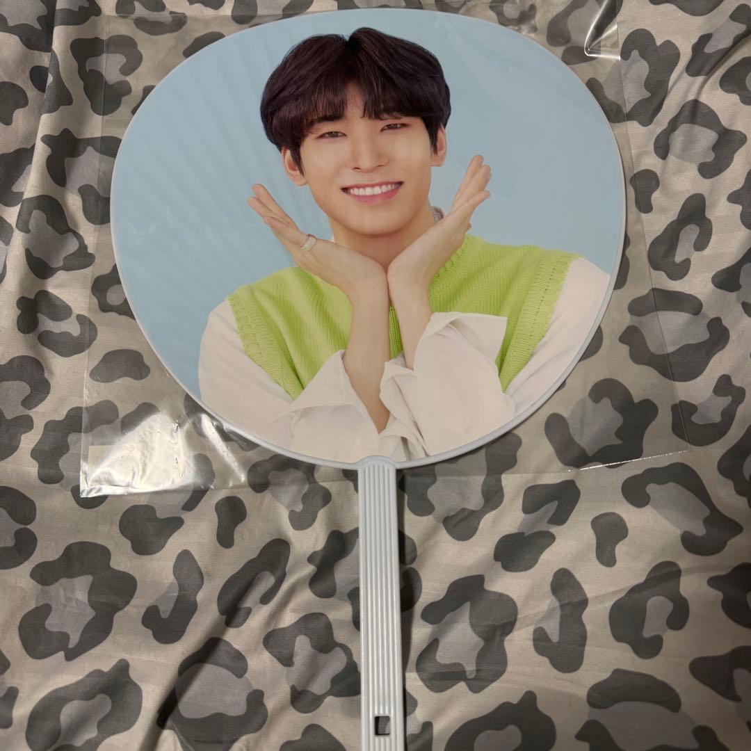 SEVENTEEN セブチ ウォヌ 団扇 うちわ 18本まとめ売り