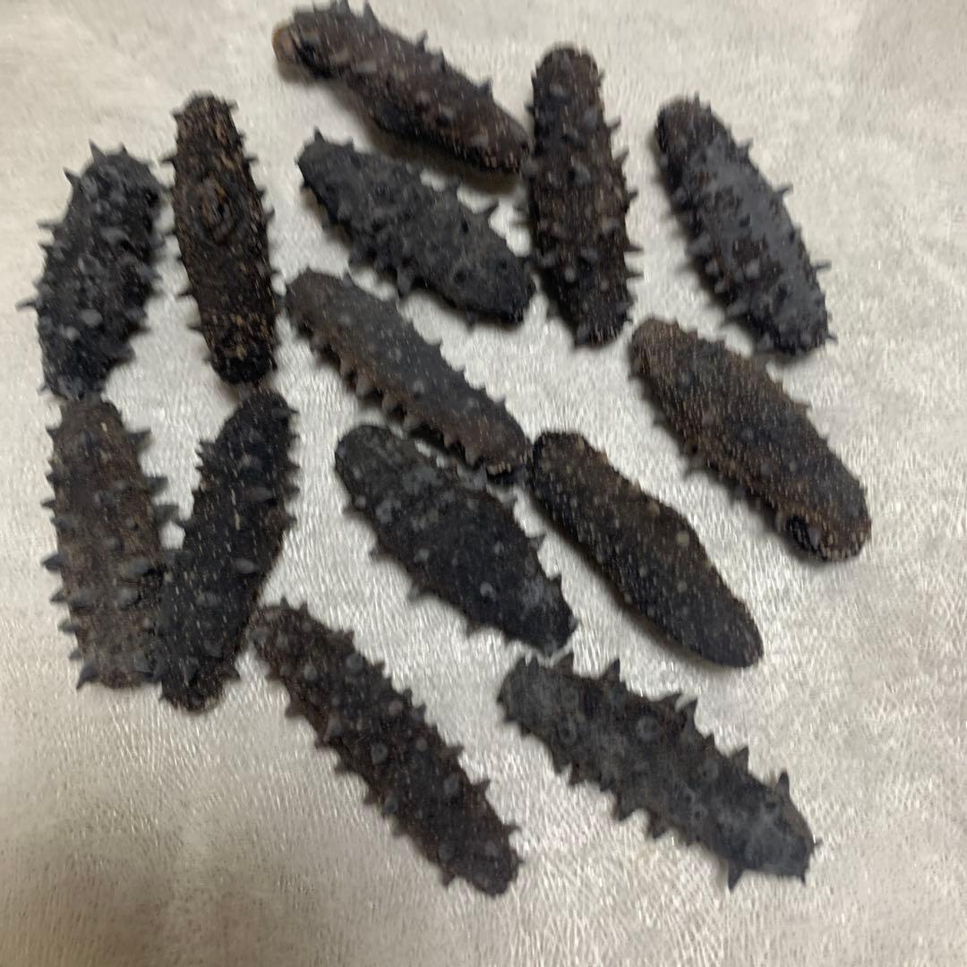黒いナマコ 乾燥A品