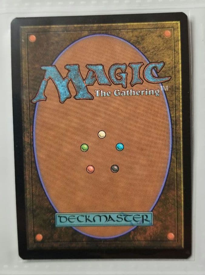 MTG 指輪物語 ポスター Foil 茶色のラダガスト 匿名配送 です。