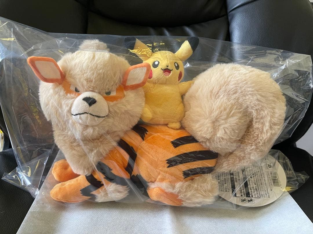 ポケモン　マスキングテープ　メタモンセット