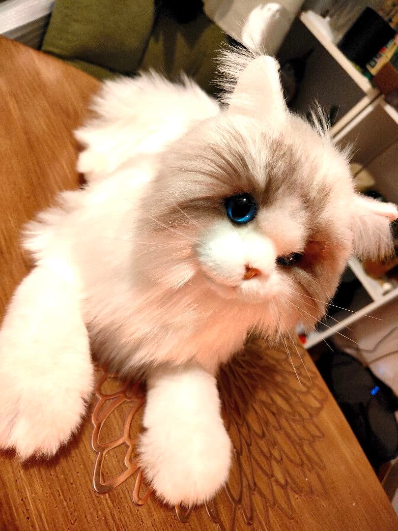 美品 Chongker 猫 ぬいぐるみ 35cm ラグドール チョンカー 本物似