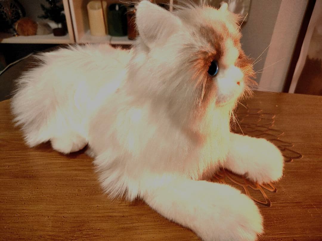 美品 Chongker 猫 ぬいぐるみ 35cm ラグドール チョンカー 本物似